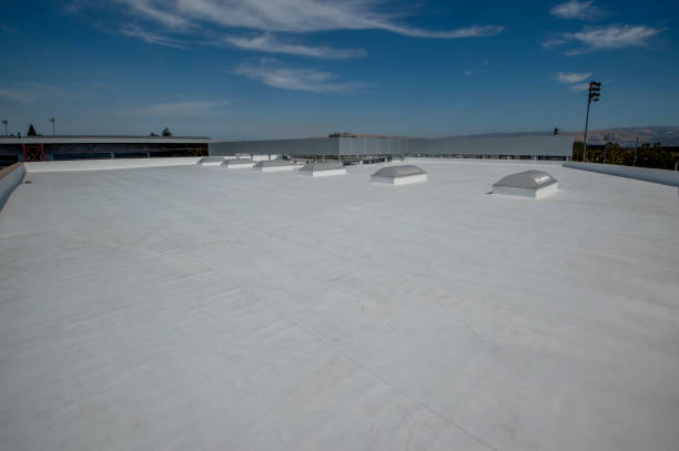 Best 4 Ply Roofing  in Crane, TX